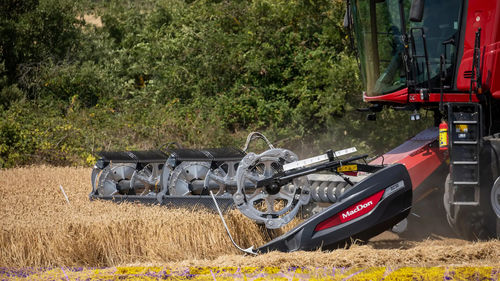 Головка для сбора урожая для травы - D2 Series - MacDon Europe GmbH - для злаков / для фасоли / для наполнения