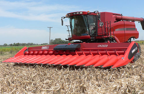 Головка для сбора урожая для кукурузы - CM 2020  - Maquinas Agricolas Ombu SA - жесткая / червячный