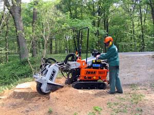Измельчитель пней толкаемого типа - 5960 DHR - Müllers & Backhaus GmbH & Co. KG - с дизельным двигателем