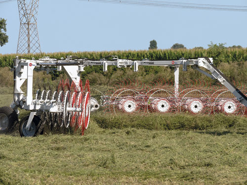 Ротационный валкообразователь - 12+12VS - Repossi macchine agricole s.r.l. - с центральной выгрузкой