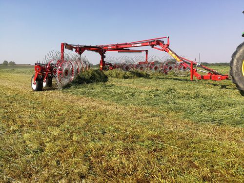 Ротационный валкообразователь - 14+14VS - Repossi macchine agricole s.r.l. - с центральной выгрузкой