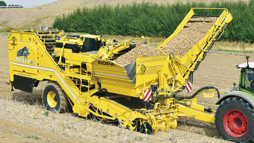 Уборочная машина для картофеля - Keiler 2 RK21 - ROPA Fahrzeug- und Maschinenbau GmbH - прицепная / 2 ряда