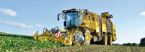 Уборочная машина для свеклы - Tiger 5 - ROPA Fahrzeug- und Maschinenbau GmbH - самоходная