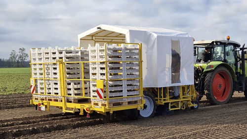 Посадочная машина для картофеля - GECKO - ROPA Fahrzeug- und Maschinenbau GmbH - с ручным управлением / буксируемая