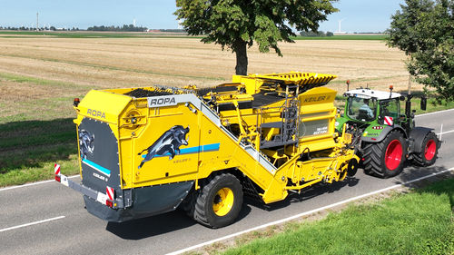 Уборочная машина для картофеля - KEILER 2 RK22 - ROPA Fahrzeug- und Maschinenbau GmbH - для моркови / для пастернака / для лука