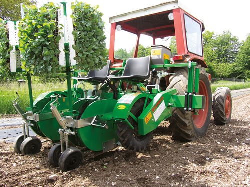 Посадочная машина для салата - Plantec One - SFOGGIA Agriculture Division S.r.l. - для помидоров / с ручным управлением / буксируемая
