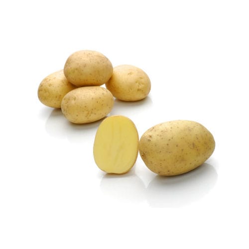 Поздний семена картофеля - Burana - Solana GmbH & Co. KG - крахмал / длинный / средняя зрелость