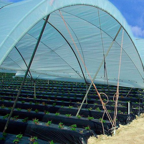 Пленка для теплицы - PLASTERMIC PLUS - SOTRAFA, S.A. - из полиэтилена / для защиты от УФ / термический эффект