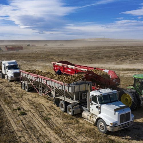 Прицеп-самосвал - 2050 - Spudnik Equipment Company LLC - пятиосный / сельскохозяйственный