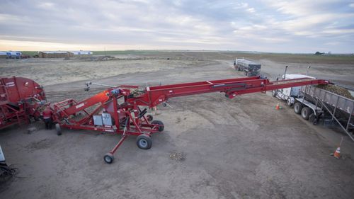 Конвейер для картофеля - 780  - Spudnik Equipment Company LLC - ленточный / цепной / мобильный