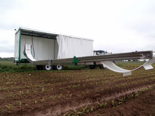 Уборочный конвейер для брокколи - DELECROIX  - Sweere Agricultural Equipment - для капусты / для цветной капусты / для дыни