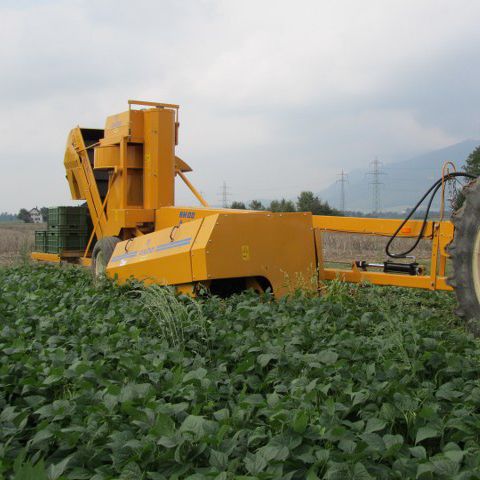 Уборочная машина для фасоли - Oxbo BH100 - Sweere Agricultural Equipment - для гороха / прицепная / 1 ряд