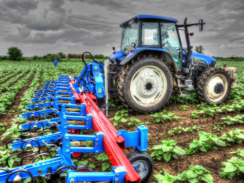 Навесной пропашник - Thomas Hatzenbichler Agro-Technik GmbH - с камерой / с направляющей системой