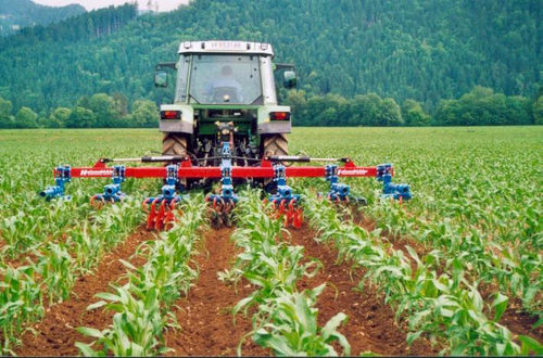 Навесной пропашник - Thomas Hatzenbichler Agro-Technik GmbH - контроль глубины