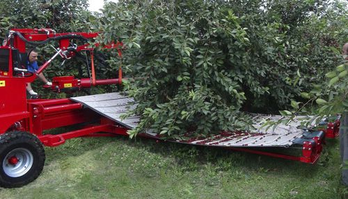 Вибратор для сбора урожая для слив - MAJA AUTOMATIC-TS - Weremczuk FMR Sp. z o.o. - прицепной / механический