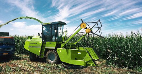 Самоходная силосорезка - 4QZ-3000A - Zoomlion Heavy Machinery Co., Ltd.