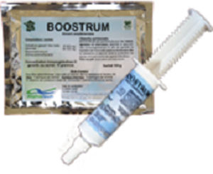 Порошковый колострум для телят - BOOSTRUM - ALPHATECH SAS - для коз / для свинины / на пеллетах