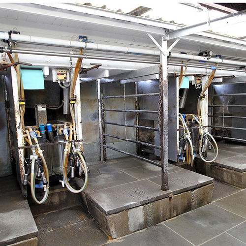 Загрузочная воронка для крупного рогатого скота - Abreast  - ATL - Agricultural Technology Ltd. - из стали / индивидуальная / настенное крепление