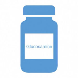 Кормовая добавка для животных - Glucosamine - BIOIBERICA, S.A. - для домашних животных / гликозаминогликан / сухая