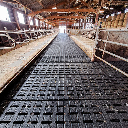 Коврик из каучука - MAGELLAN® P-Type - Bioret Agri - для разведения КРС / комфорт коров / противоскользящий