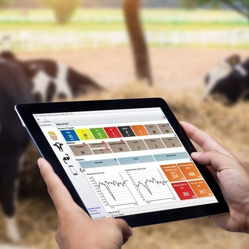 Программное обеспечение для управления - HERDMETRIX - Boumatic Robotics B.V. - сельскохозяйственное / стада / режим реального времени