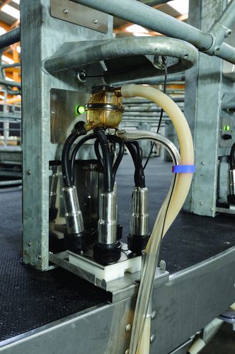 Платформа для мойки доильной связки - Boumatic Robotics B.V.