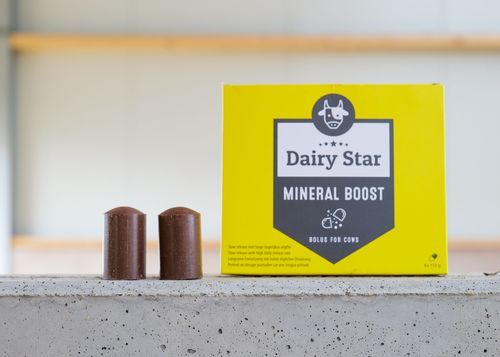 Болюс питание - DairyStar Mineral Boost - AGRIPROM - для крупного рогатого скота / молочный крупный рогатый скот / органический