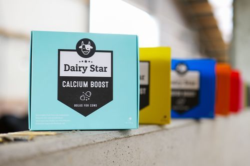 Болюс питание - DairyStar Calcium Boost - AGRIPROM - для крупного рогатого скота / сокращает риск молочной лихорадки / постнатальный