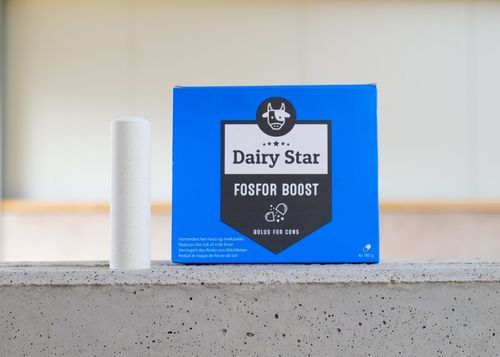 Болюс питание - DairyStar Fosfor Boost - AGRIPROM - для крупного рогатого скота / молочный крупный рогатый скот / корректор недостаточности