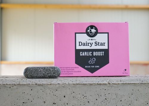 Болюс питание - DairyStar Garlic Boost - AGRIPROM - для крупного рогатого скота / органический / для стимуляции вымени