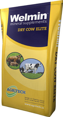 Кормовая добавка для животных - Welmin Dry Cow Elite - AGRITECH - для яловых коров / минералы / витамины