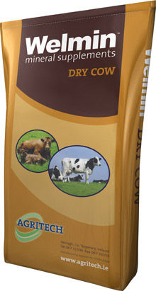 Кормовая добавка для животных - Welmin Dry Cow - AGRITECH - для дойных коров / для яловых коров / минералы