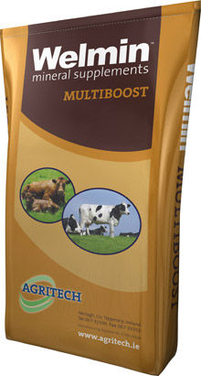 Кормовая добавка для животных - Welmin Multiboost - AGRITECH - говядина / минералы / витамины