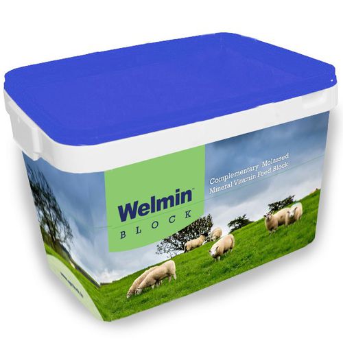 Лизунец для овец - Welmin Sheep Block - AGRITECH - с микроэлементами / с витаминами / для улучшения фертильности