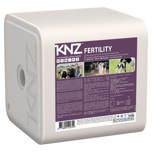 Лизунец для крупного рогатого скота - FERTILITY - Hengelo Salt Specialties B.V. (KNZ®) - для коз / с микроэлементами / с солью