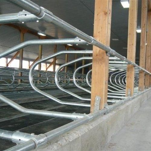 Станция для кормежки для коров - Cowhouse International bv