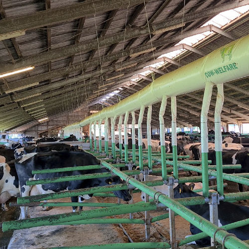 Стойло с изменяемой шириной - Flex air stall - Cow-Welfare - для первотелки / из пластика / гибкое