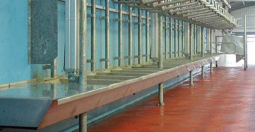 Корыто для крупного рогатого скота - Dairymaster - из нержавеющей стали / в помещении для дойки