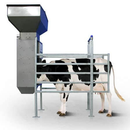Станция для кормежки для крупного рогатого скота - OPTIFEEDER  - Dairymaster - в помещении для дойки