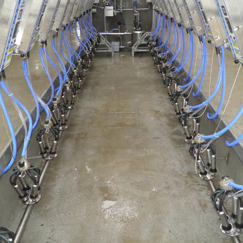 Помещение для дойки для коров - DairyPower Equipment O'Donovan Dairy Services Ltd. - «в елку» / поворотное