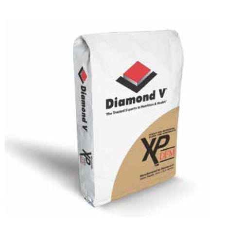 Пищевая присадка фермент - XP™ DFM - Diamond V - микроорганизм / для крупного рогатого скота / сухая