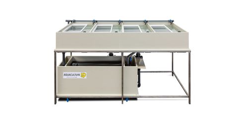 Инкубатор для рыбы для рыбы - 4x Hatching trays - Aquaculture ID - для аквакультуры