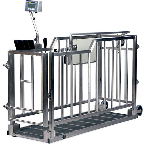Весы для телят - Förster-Technik GmbH - электронный / на аккумуляторе / мобильный