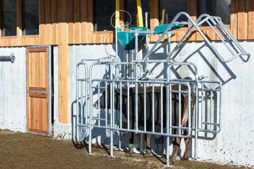 Станция для кормежки для коров - 043-000-000 - Hanskamp AgroTech BV - в помещении для дойки