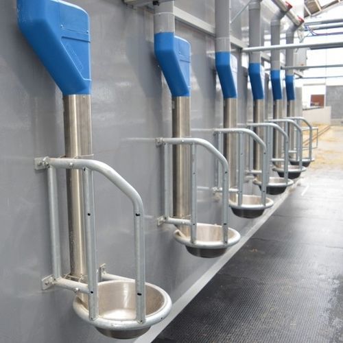 Чаша для крупного рогатого скота - MultiFrame - Hanskamp AgroTech BV - из стали / в помещении для дойки