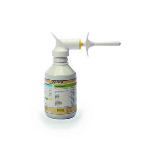 Порошковый колострум для свинины - COLOVIT - Hofmann Nutrition AG HOKOVIT - жидкость