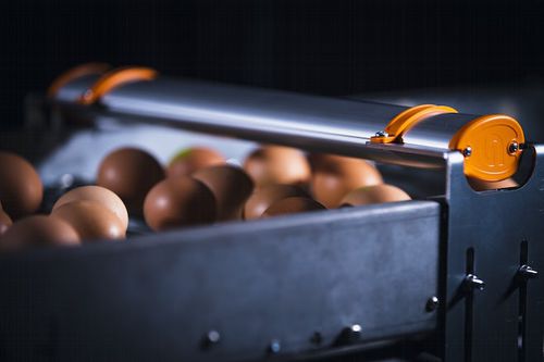 Счетчик яиц - EggXact - Hotraco Agri BV
