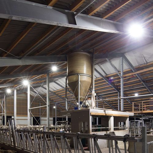 Освещение LED - Lubratec® - HUESKER Synthetic GmbH - для сельскохозяйственных зданий / для хлева / электролюминесцентная