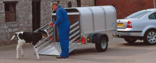Прицеп для перевозки скота для овец - P6e & P7e - Ifor Williams Trailers Ltd. - одноосный