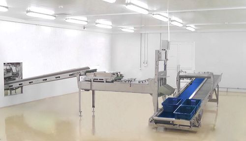 Корзина для перевозки для цыплят - Innovatec Hatchery Automation